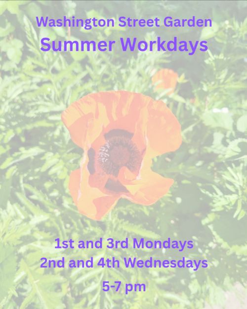 Summer Workdays 