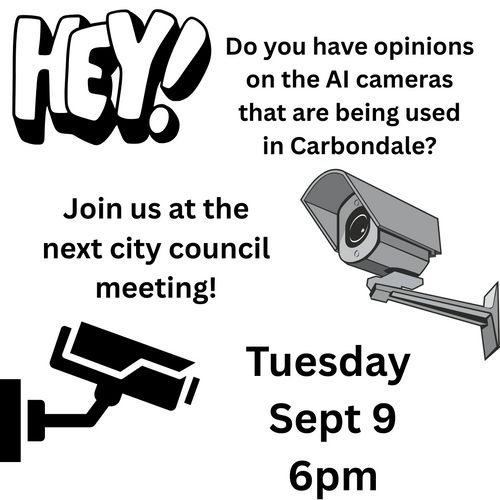 City Council Meeting - AI Cameras